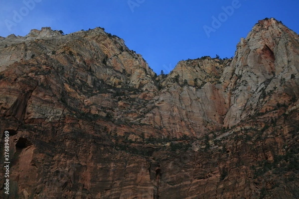 Obraz アメリカの早春のザイオンナショナルパーク