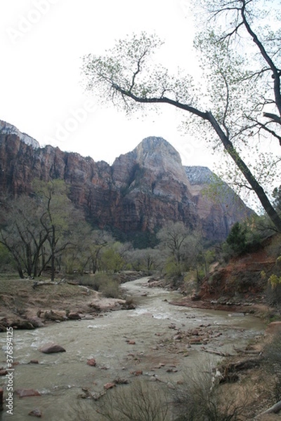 Fototapeta アメリカの早春のザイオンナショナルパーク