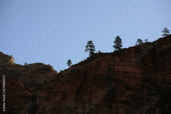 Obraz アメリカの早春のザイオンナショナルパーク