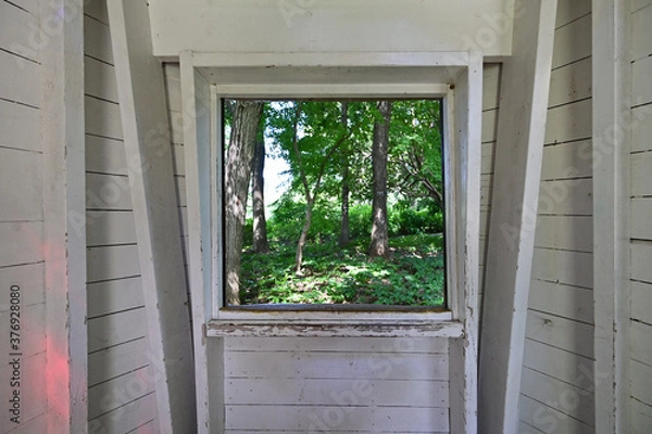 Obraz 自然公園の中のメルヘンチックな小屋の中の窓から見える森林