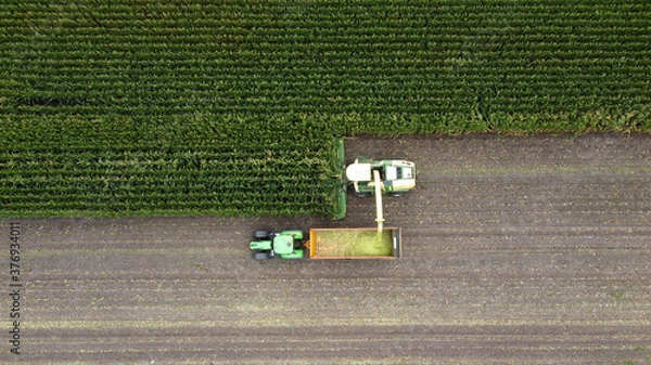 Obraz Harvesting a maize field