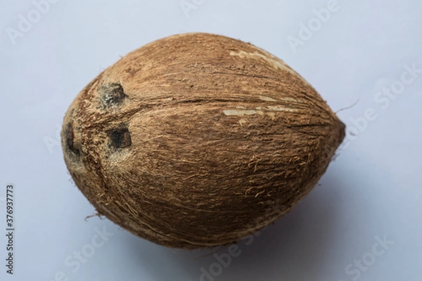 Obraz Coconut