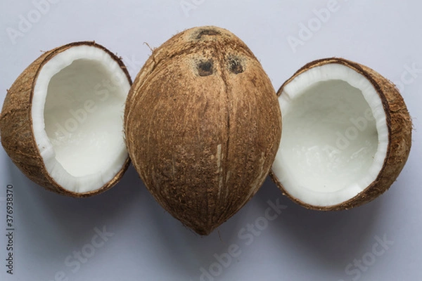 Obraz Coconut