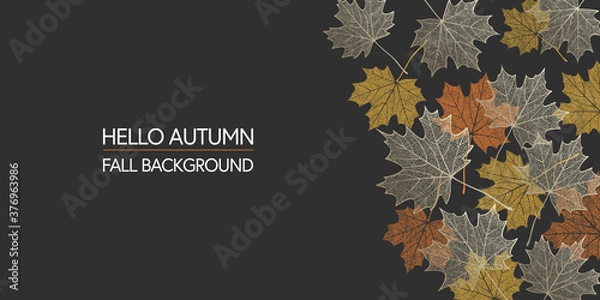 Fototapeta Autumn background. Skeleton maple leaves on dark background. Border made of fall leaves. Vector illustration