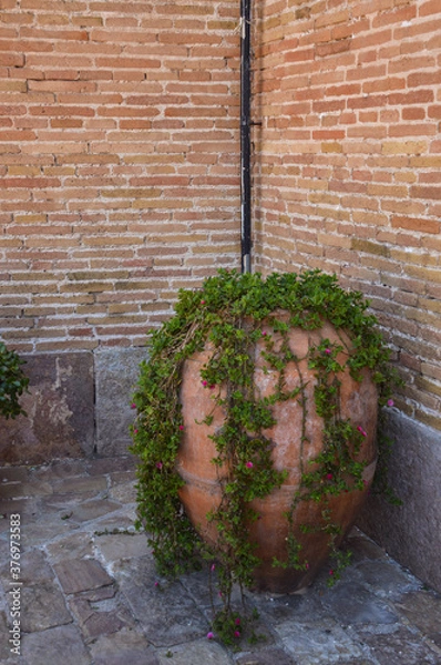 Obraz old brick wall with flowers