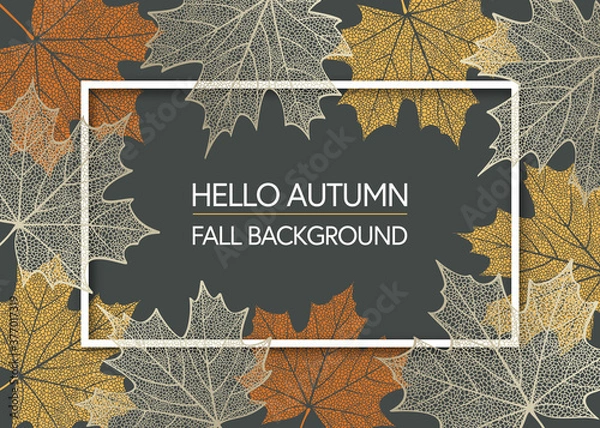 Fototapeta Autumn background with skeleton maple leaves. Frame made of fall leaves. Vector illustration