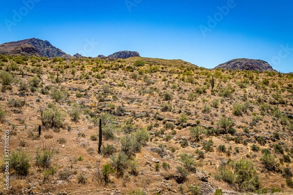 Fototapeta Apache Trail Scenic Drive View