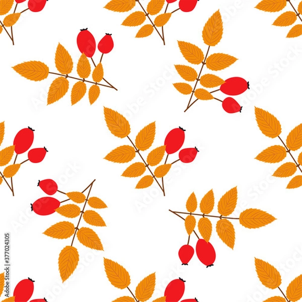 Fototapeta Rose hip. Autumn seamless patterns. 