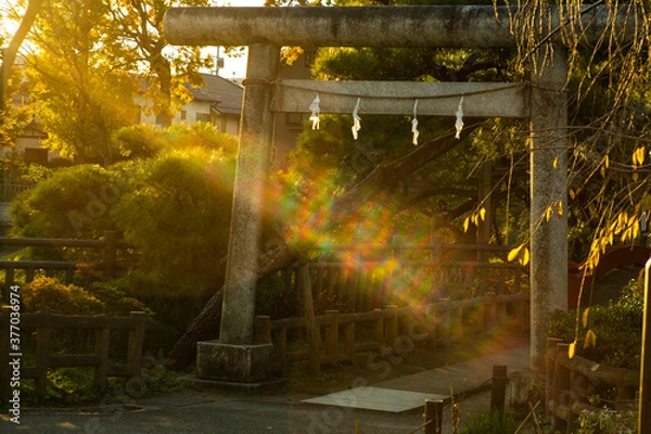 Obraz 広い公園にある鳥居に美しい光がかかる