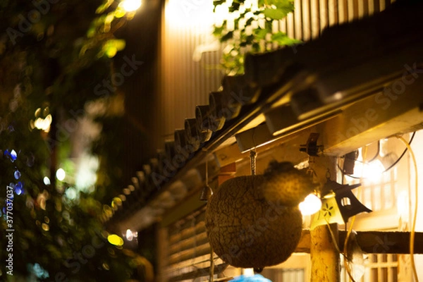 Obraz お洒落な雰囲気のある家