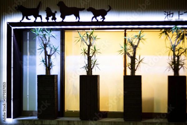 Obraz 夜の街中に通りかかったお洒落で素敵な動物シルエットの看板