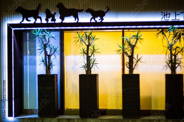 Obraz 夜の街中に通りかかったお洒落で素敵な動物シルエットの看板