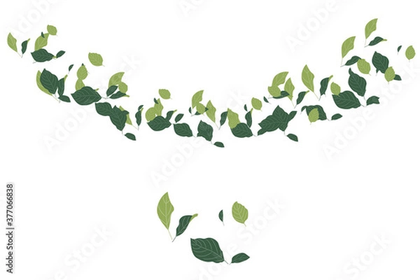 Obraz リンゴの葉