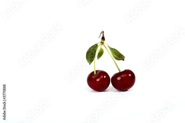 Obraz Cherry relations