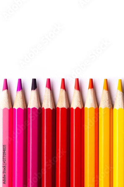 Fototapeta multi-colored wooden pencils in red shades on a white isolated background, mock up, vertically.