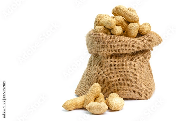 Obraz sack of peanuts