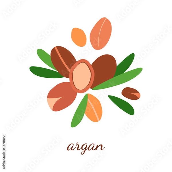 Fototapeta illustration with argan oil. argan berries with leaves. modern abstract design for background, packaging paper, cover, fabric, card, cosmetics and oil