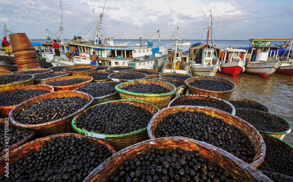 Fototapeta Mercado do Açaí ..