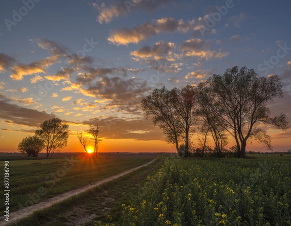 Fototapeta Zachód słońca