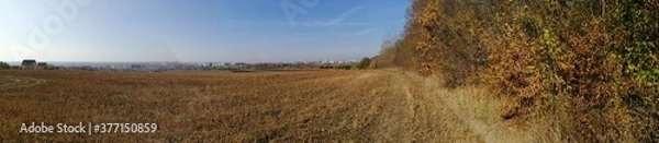 Obraz fence and grass