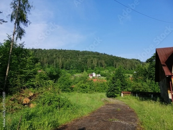 Obraz landscape in the mountains