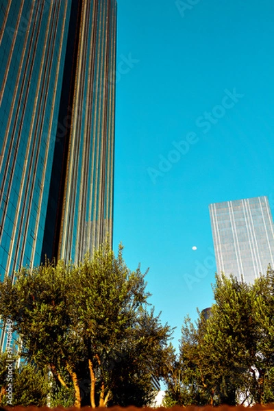 Fototapeta Lua na cidade!