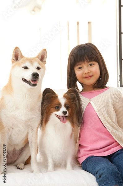 Fototapeta ペットと遊ぶ女の子