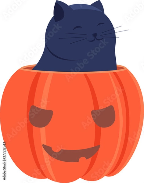 Fototapeta Cute smiling cat sits in a pumpkin isolated on white background vector flat cartoon illustration. Orange pumpkin with cut eyes and mouth. Halloween party, holiday vibes. Warm autumn mood. Vector.