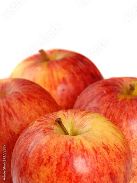 Fototapeta Four organic gala apples with a shallow depth of field 