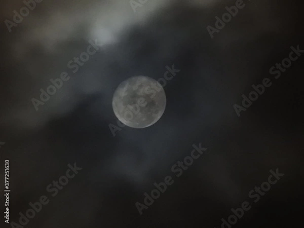 Fototapeta Haunting moon