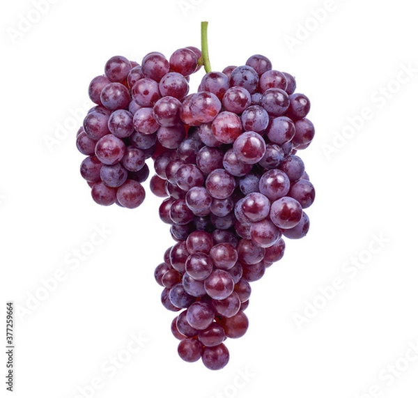 Obraz red grapes isolated on white background