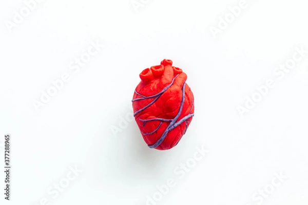 Obraz Anatomical heart. White background top view