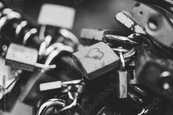 Obraz Love Locks on railing