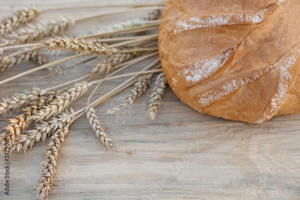 Fototapeta round bread and ears of wheat lie on a light wooden table (top view)