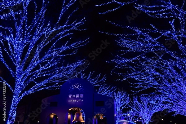 Obraz 青く光る森