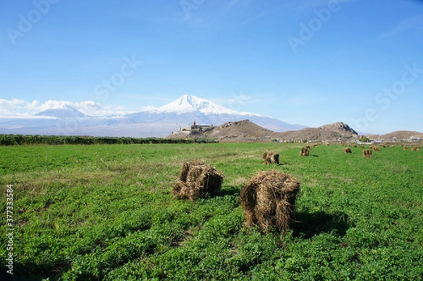Fototapeta haymaking