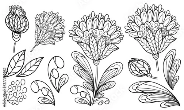 Fototapeta set of floral elements plant bud coloring isolate on white background illustration for book black and white image with herbal elements anti stress vector graphics print for textile doodle sketch