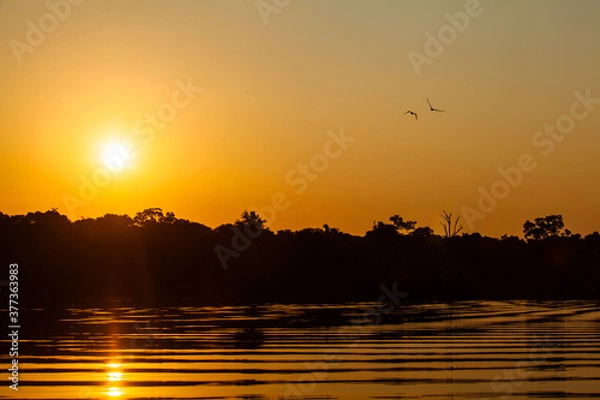 Obraz Sunrise on Amazon forest river