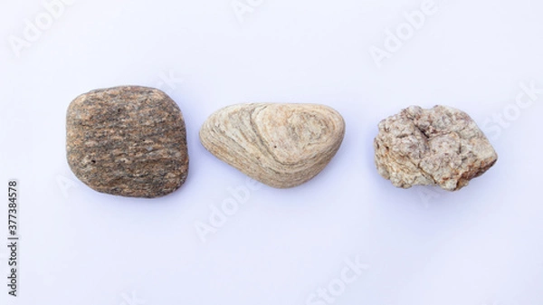 Fototapeta .Scales from a stone isolated on a white background.Sea stones on white background