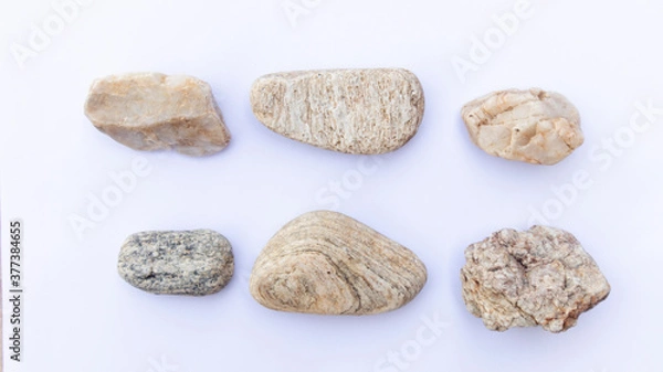 Fototapeta Scales from a stone isolated on a white background.Sea stones on white background
