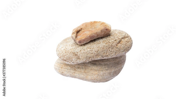 Fototapeta Scales from a stone isolated on a white background.Sea stones on white background