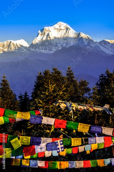 Obraz Mt. dhaulagiri, poonhill 