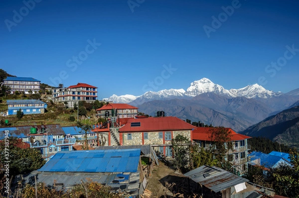 Obraz Mt. dhaulagiri,Pooh hill, Ghorepani, Annapurna Region, 
