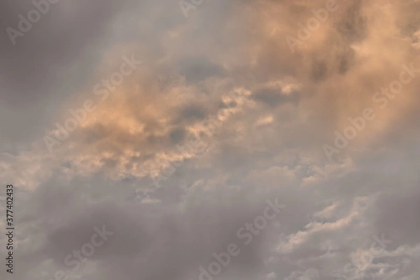 Fototapeta twilight sky with golden clouds surrounded by thin gray clouds.