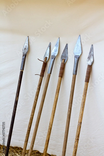 Obraz Old Spears