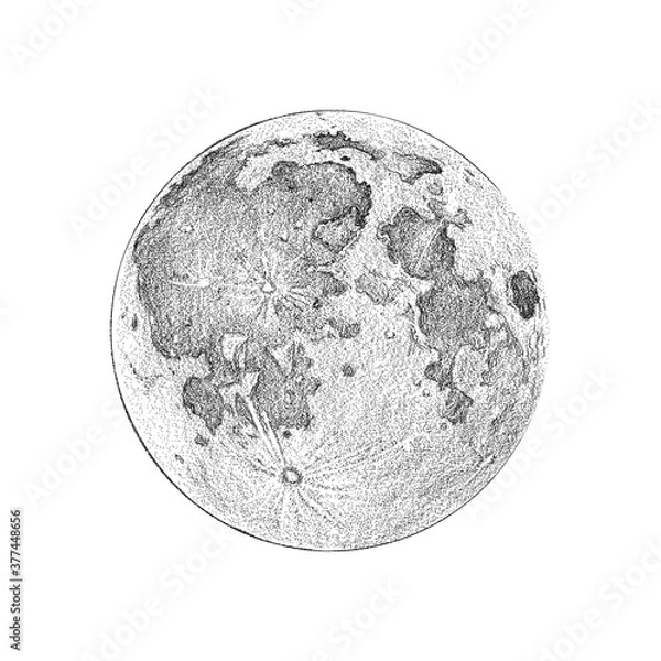 Fototapeta Moon full phase, illustration sketch style, full moon image on white background.