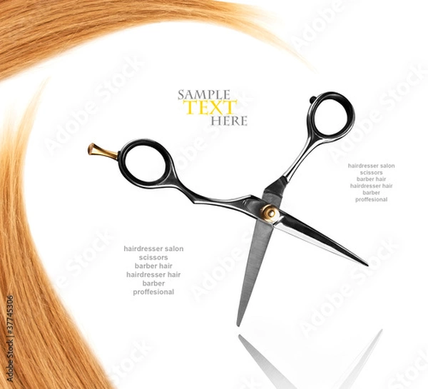 Obraz scissors