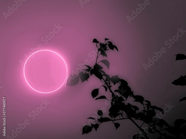 Obraz Edited Pink color sun