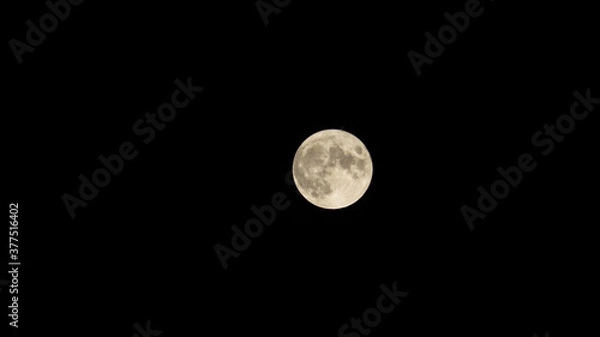 Obraz Lunar new year