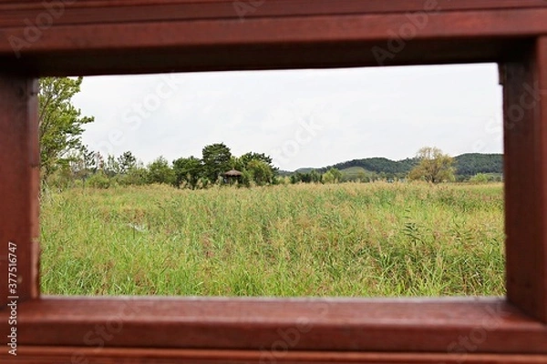 Fototapeta 한국 인천시  남동구  소래습지생태공원 입니다